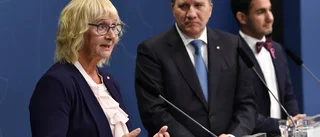 Riksdagen fick underkänt