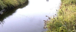 Läsarbilden