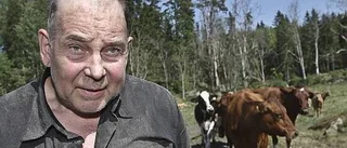 Torr sommar ger bönderna problem i vinter