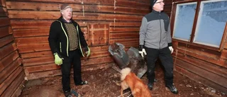 De tar över Luleåcampingen