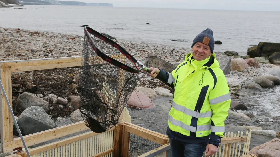 Lars Vallin kontrollerar en fälla vid Kopparsvik. Nu satsar Sportfiskarna på mer avancerad utrustning.
