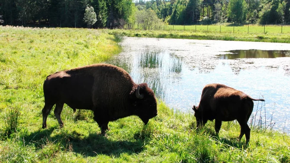 Uppsala kommun vill stödja intiativ som främjar landsbygden.