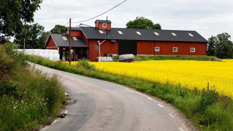 Landsbygd. Med rätt förutsättningar tror Centerpartiet att det kan skapas jobb och tillväxt i hela landet. Det gäller inte minst på landsbygden.