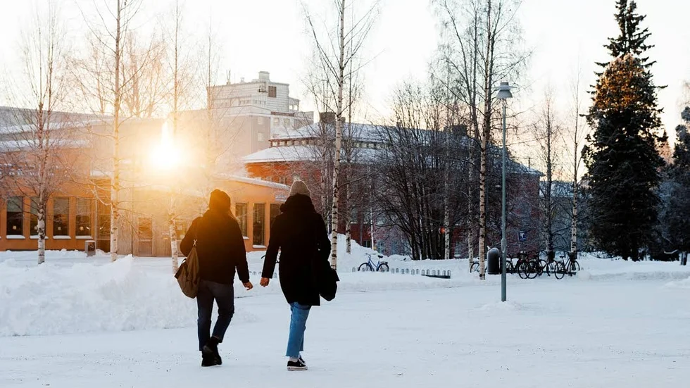 Arbetsmarknadens behov, elevernas efterfrågan, tillgång till APL-platser (arbetsplatsförlagt lärande) samt ekonomi och organisation är aspekter som vägs in när det beslutas om antal platser på olika gymnasieprogram. I grunden finns också rekommendationer från Skolverket.