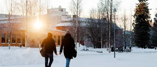 Luleås gymnasium håller ställningarna
