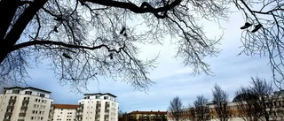 Storbråk i Ekonomikumparken