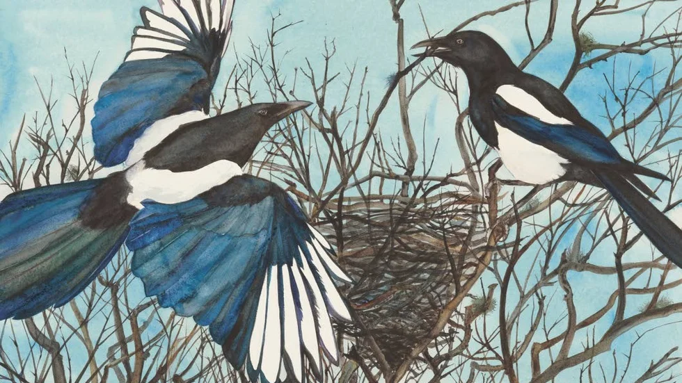 I bilderboken "De förlorade orden" försöker Robert Macfarlane och Jackie Morris återerövra språket såväl som naturen.