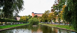 Tragikomiskt öde för konstverket