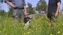 I ett antal av hagarna hemma hos Dan och Britta Söderberg i Österbyn växer gräset högt. De motsätter sig att delar av deras betesmarker har utsetts till att ingå i Natura 2000 och har därför upphört med att låta djuren beta där.