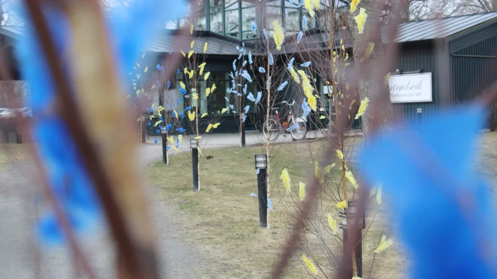 Påskfjädrar för Ukraina har satts upp vid Gertrudsvik.