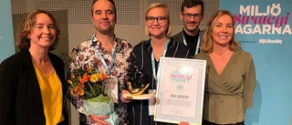 Hamburgerkedjan är årets miljöstrateg