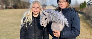 Jonathan, 11, vill ha en arena för käpphästar i Mariefred: "Väldigt billig idrott – och för alla"