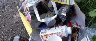 Politik, sopor och damfotboll