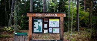Mystiska smällarna tillbaka i Stadsskogen