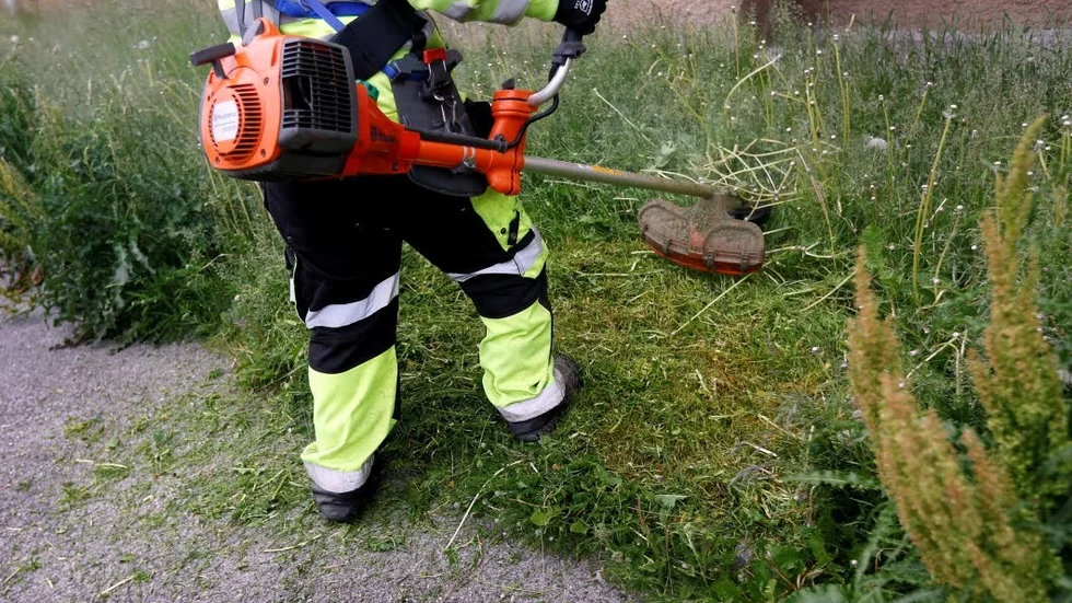 Högt gräs skymmer sikten i korsningar, det skriver en av öns besökare i ett brev till regionen. Hen uppmanar till mer klippning nästa år.