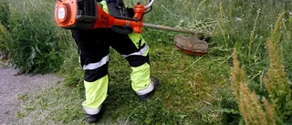 Ogräs och vissna rabatter
