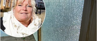Skadegörelse av Megs restaurang på Visholmen – Christine Blomqvist Gyllby: "Man blir förbannad"