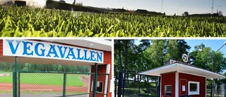 Från elitettan till femman