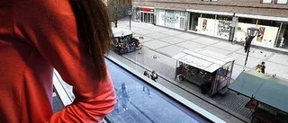 Vem gläds över en utsikt som denna?