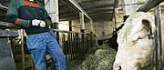 Han representerar Mälardalen på LRF:s riksförbundsstämma i dag