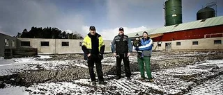 Högre mjölkpriser räddar bönder