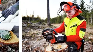 Bertil Johansson håller kurser i motorsågsteknik.