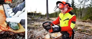Sågar säkert efter stormen