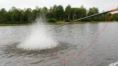 Yngelfiske.