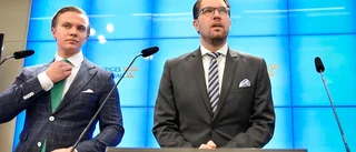 Ledare: Därför försöker SD rätta till EU-slipsen