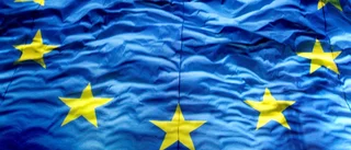 Kunskaper om EU behövs inte bara inför EU-valet