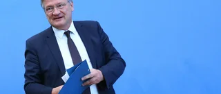 Tyska extremhögern får ny ledare efter avhopp