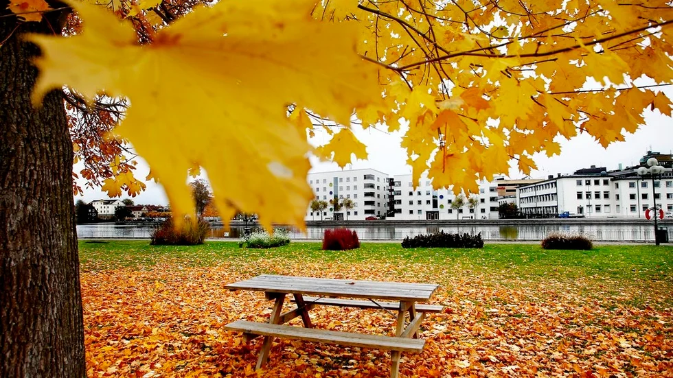 Eskilstuna är en av fem finalister när Sveriges renaste och minst nedskräpade kommun ska utses av stiftelsen Håll Sverige rent.