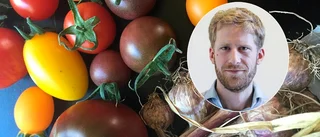 Gnestabo startade tankesmedja för mat och klimat