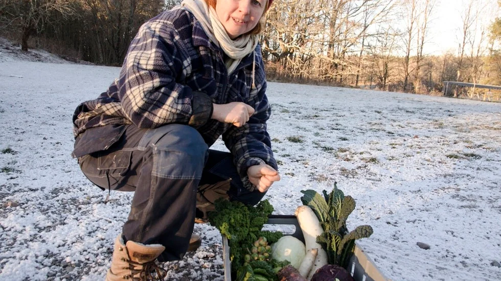 "Klassiska kålgrönsaker passar bra på julbordet", säger Malin Schreiber som driver Peterslunds ekoodling och visar korgen med grönkål, brysselkål, savoykål, rättika, svartkål, rödkål, kålrot, salladskål.