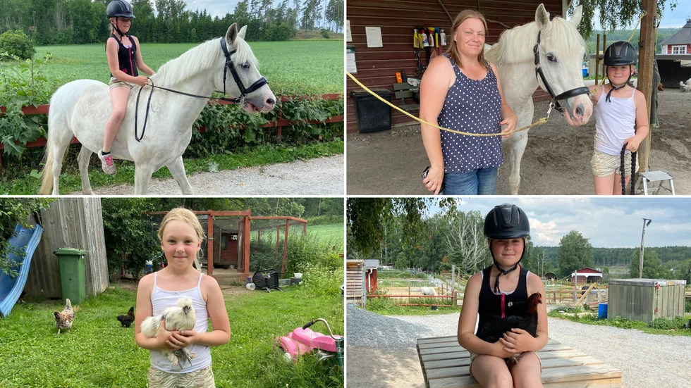 Elna Asplund från Hallmyra gård och Gripens RF kamperar ihop med Kulltorps flavour. På bilderna syns även mamma Lisa Asplund, samt hönorna Fläcken och Sotis. 9-åriga Elna Asplund har ett stort intresse för djur och kan namnen på samtliga 20 höns som bor på gården.