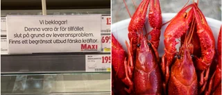 Hoten mot kräftskivorna: ✓ Varma vatten ✓ Pest ✓ Kemikalier • Så ser det ut på Gotland • ”Vi har brist”