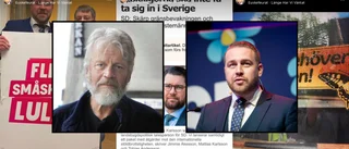 SD-toppen använder låt av Euskefeurat för SD-reklam på Instagram – Ronny Eriksson rasar: "Det är patetiskt"
