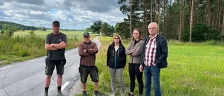 Högt gräs i vägkanter hotar säkerheten: "Går inte att se någonting" • Därför klipps gräset inte