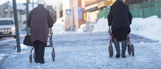 Femte kvinna lurad av barnbarnsbedragare