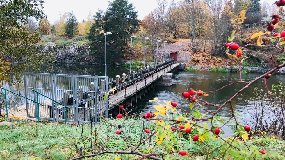 Det blir inget åtal mot Hjälmarens vattenförbund, som äger Hyndevadsdammen där utflödet från Hjälmaren regleras.