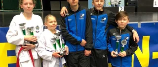 Martina Asplund segrade i sparring