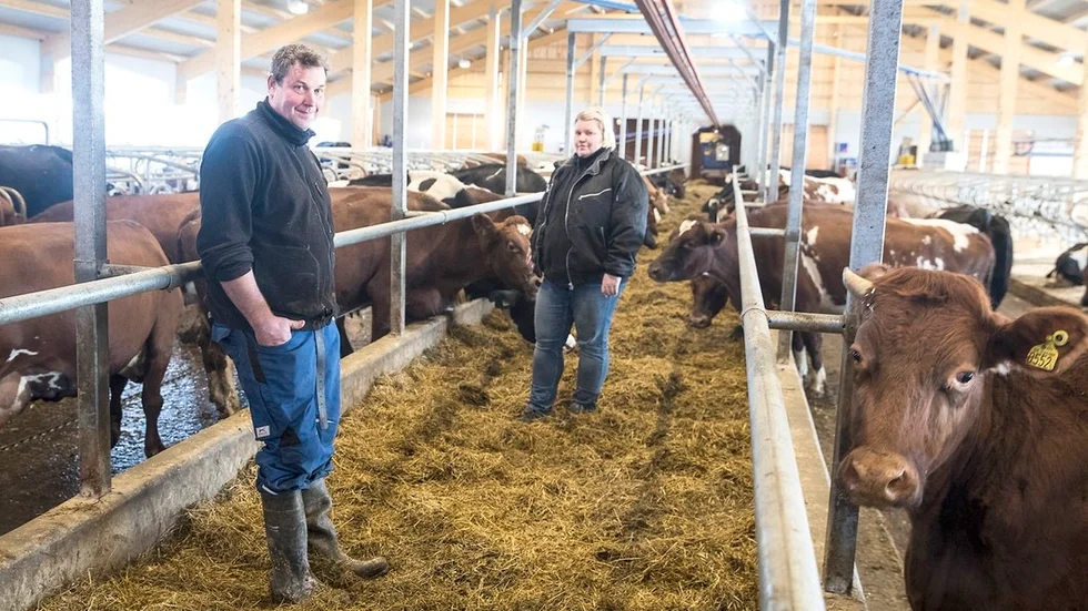 Marina och Mattias Andersson på Älvesta gård i Sköldinge är nöjda med sin investering i ny ladugård för 200 mjölkkor.