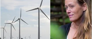 Lös inte klimatproblemet med ett kemikalieproblem