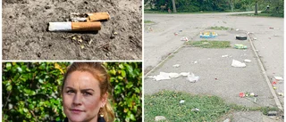 Endast en bot efter nya lagen om nedskräpning – efter ett halvår • Polisen: "Svår att hantera"