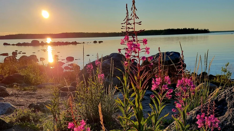 Irene Viklund bjuder på en fin läsarbild från Piteå skärgård.