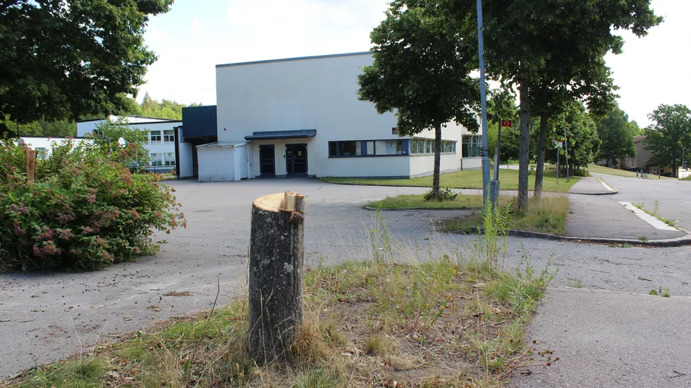 Tre träd har sågats ned utanför Hällaskolan i Borensberg. I nuläget finns ingen misstänkt.