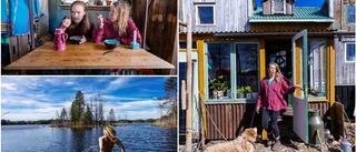 Anna och Henrik lever det enkla livet – i ett minihus ute i skogen • Har varken grannar eller bekvämligheter