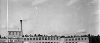 1950: Mejeriet var störst i Europa