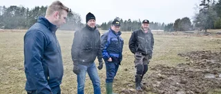 Mjölkbönderna har ledsnat på vildsvinen