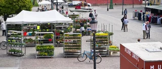 Behmbrogatan stängs av för asfaltering